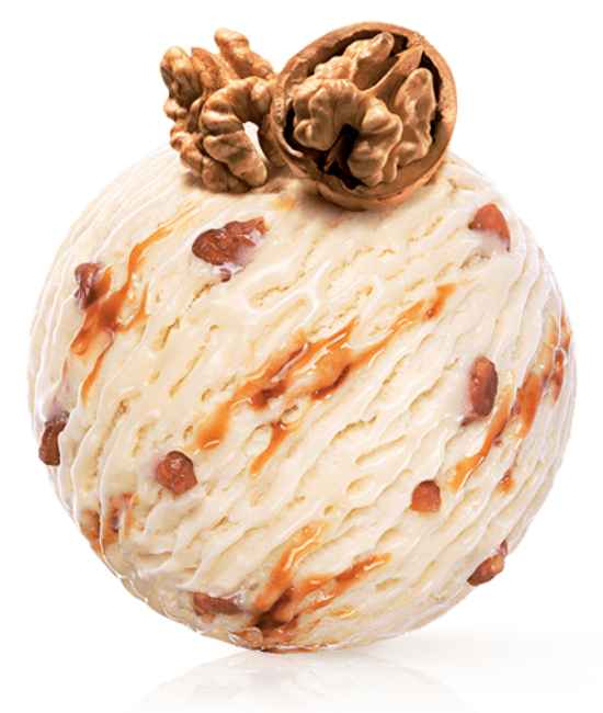maple walnut
